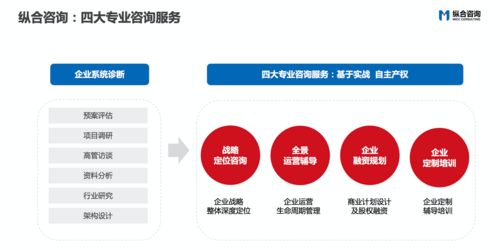 縱合咨詢MCC 企業戰略定位與管理咨詢領域的特色品質典范